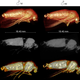 3D reconstruction of the whole body showing the internal structures and the tracheal system of a live anesthetized male adult true armyworm at one (sexually immature) and four (sexually mature) days. (Image: D. Poinapen et al., 2017)